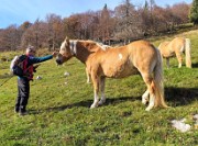 Ai faggi secolari del Menna dal Passo dell’orso ad anello da Zorzone – 27ott25   -  FOTOGALLERY